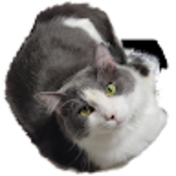 abbysg